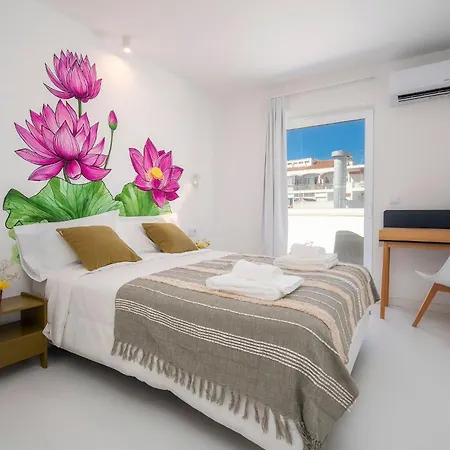 Primavera House District de Faro